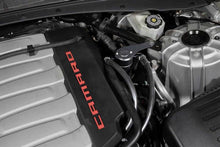 Load image into Gallery viewer, Photo - Mounted