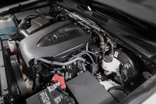 Load image into Gallery viewer, Photo - Mounted