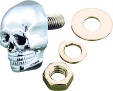 Load image into Gallery viewer, Bikers Choice Chrome Skull Kromets