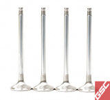 GSC Power Division 2039-8 -  -GSC P-D Honda B-Series B16A/B17A/B18C Chrome Alloy Exhaust Valve 28mm Head6mm StemSet of 8
