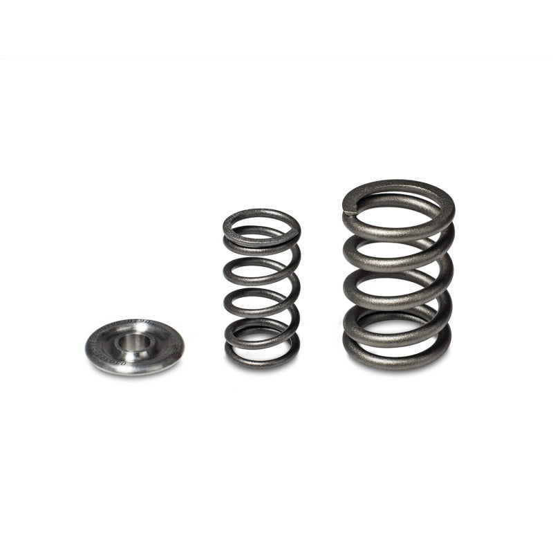 Skunk2 Racing 344-05-1360 -  -Skunk2 Alpha Series Honda/Acura H Series Valve Spring and Titanium Retainer Kit