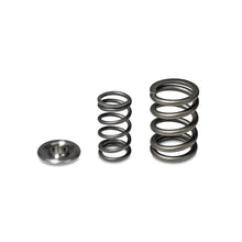Load image into Gallery viewer, Skunk2 Racing 344-05-1360 -  -Skunk2 Alpha Series Honda/Acura H Series Valve Spring and Titanium Retainer Kit