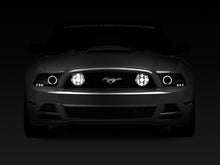 Load image into Gallery viewer, Raxiom 49177 - FITS: 13-14 Ford Mustang GT CCFL Halo Fog Lights (Smoked)