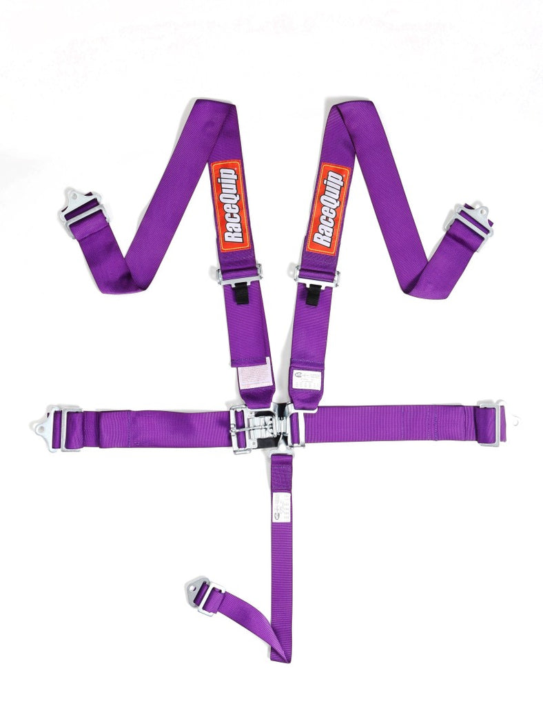 RaceQuip Purple L & L 5pt Seat Belt