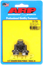 Load image into Gallery viewer, ARP 230-7304 FITS GM 200 &amp; 700 4L60 &amp; 4L80 Torque Converter Bolt Kit