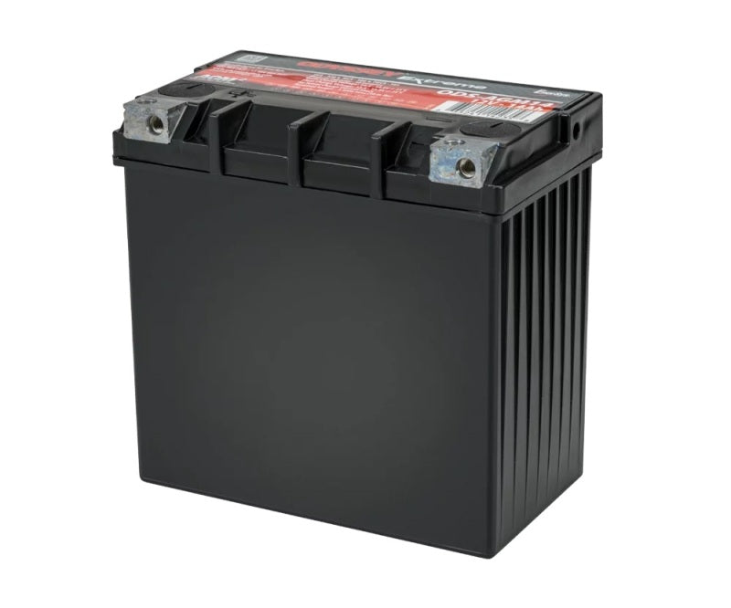 Odyssey Battery ODS-AGM14 FITS Powersport Extreme AGM Battery