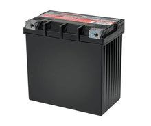 Load image into Gallery viewer, Odyssey Battery ODS-AGM14 FITS Powersport Extreme AGM Battery