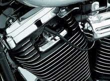 Load image into Gallery viewer, Kuryakyn Sparkplug &amp; Headbolt Covers Eovlution Motors &amp; 86-03 XL Models