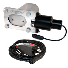 Load image into Gallery viewer, Photo - Primary