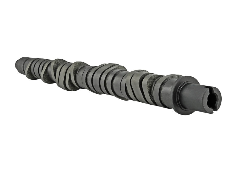 Skunk2 Racing 305-05-0055 - Skunk2 Tuner Series D-Series Honda Stage 4 Camshaft