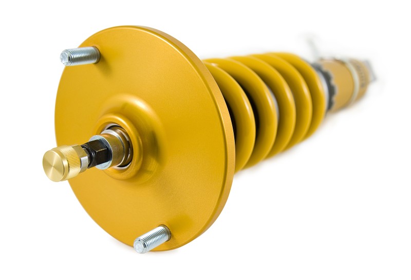 Ohlins NIS MI10S1 FITS 95-02 Nissan Skyline GT-R (R33/R34) Road & Track Coilover System