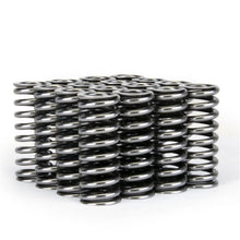 Load image into Gallery viewer, Skunk2 Racing 311-05-1345 -  -Skunk2 Alpha Series Honda D Series VTEC Valve Spring Set