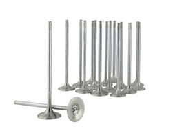 Skunk2 Racing 310-05-1600 FITS 310-05-1600 - -Skunk2 Alpha Series Honda/Acura Stock Size D Series Valve Set (Standard Compression)