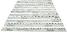 Load image into Gallery viewer, Clevite MPG1 - Plastigage Green Plastigage 12 Pack