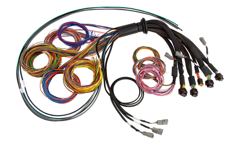 Haltech HT-185200 - NEXUS R5 Basic Universal Wire-In Harness