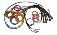 Load image into Gallery viewer, Haltech HT-185200 - NEXUS R5 Basic Universal Wire-In Harness