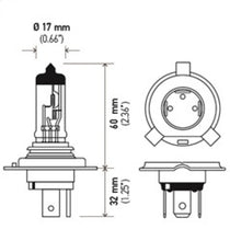 Load image into Gallery viewer, Hella H4 - Halogen  12V 60/55W Bulb