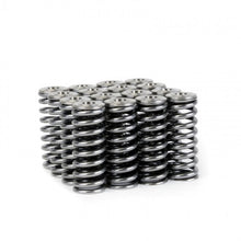 Load image into Gallery viewer, Skunk2 Racing 344-05-1350 -  -Skunk2 Alpha Series Honda/Acura D Series Valve Spring and Titanium Retainer Kit