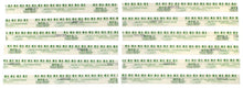 Load image into Gallery viewer, Clevite MPG1 - Plastigage Green Plastigage 12 Pack