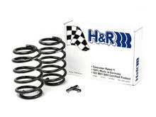 Load image into Gallery viewer, H&amp;R 29378-1 FITS 00-06 BMW X5 E53 Sport Spring (Air Ride Rear Susp. Only)