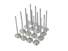 Load image into Gallery viewer, Skunk2 Racing 310-05-1600 FITS 310-05-1600 - -Skunk2 Alpha Series Honda/Acura Stock Size D Series Valve Set (Standard Compression)