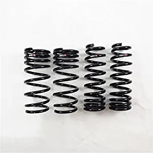 RS-R T176S