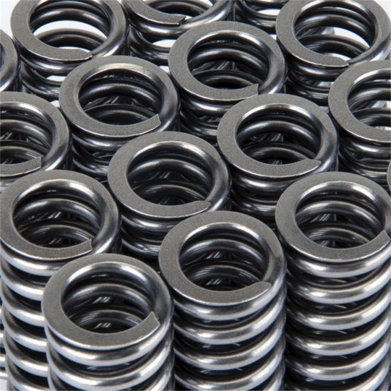 Skunk2 Racing 311-05-1345 -  -Skunk2 Alpha Series Honda D Series VTEC Valve Spring Set