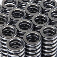 Load image into Gallery viewer, Skunk2 Racing 311-05-1345 -  -Skunk2 Alpha Series Honda D Series VTEC Valve Spring Set