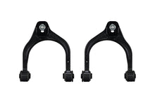 Load image into Gallery viewer, Eibach Pro-Alignment Rear Camber Kit for 09 Acura TL/TSX / 08 Honda Accord 3.5LV6 / 08-09 Accord 2.