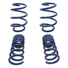 Load image into Gallery viewer, Ford Racing M-5300-W - 2015-2017 Mustang GT350 Lowering Springs