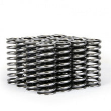 Load image into Gallery viewer, Skunk2 Racing 311-05-1345 -  -Skunk2 Alpha Series Honda D Series VTEC Valve Spring Set