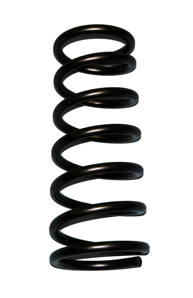 Skyjacker D20 - Coil Spring Set 1994-2001 Dodge Ram 1500 4 Wheel Drive