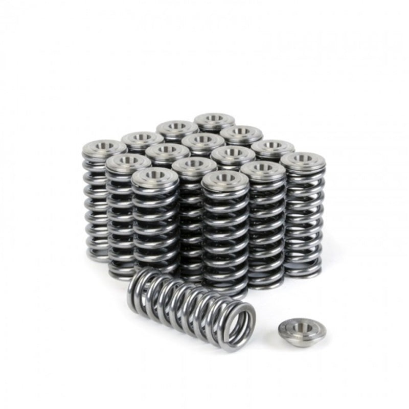 Skunk2 Racing 344-05-1350 -  -Skunk2 Alpha Series Honda/Acura D Series Valve Spring and Titanium Retainer Kit