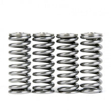 Load image into Gallery viewer, Skunk2 Racing 344-05-1350 -  -Skunk2 Alpha Series Honda/Acura D Series Valve Spring and Titanium Retainer Kit