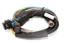 Load image into Gallery viewer, Haltech HT-151302 - Elite 2500 Basic Universal Wire-In Harness ECU Kit