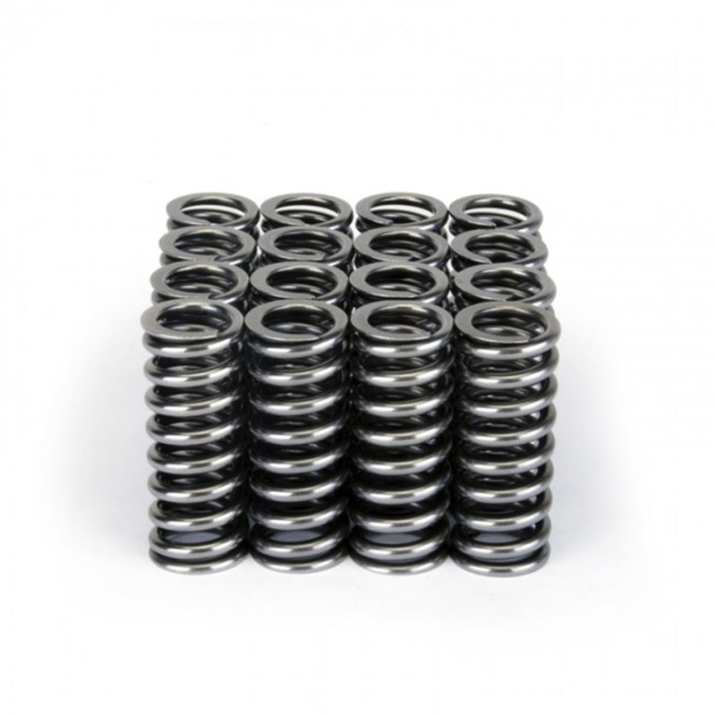 Skunk2 Racing 311-05-1345 -  -Skunk2 Alpha Series Honda D Series VTEC Valve Spring Set