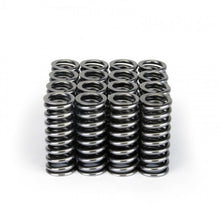 Load image into Gallery viewer, Skunk2 Racing 311-05-1345 -  -Skunk2 Alpha Series Honda D Series VTEC Valve Spring Set