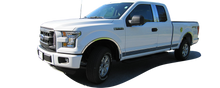 Load image into Gallery viewer, QAA Chrome Molding Inserts For 2015-2020 Ford F-150 - 4-door Pickup Truck Super Cab 6.5&#39; bed