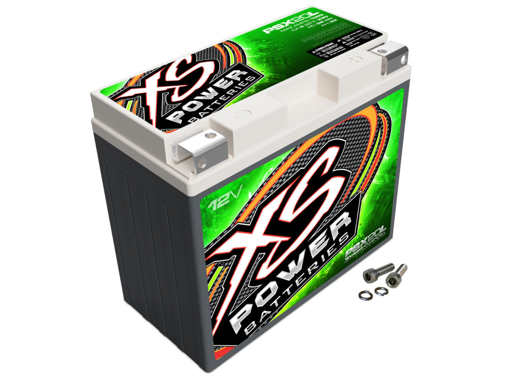 XS Power Batteries 12V AGM Powersports Series Batteries - M6 Terminal Bolts Included 1000 Max Amps