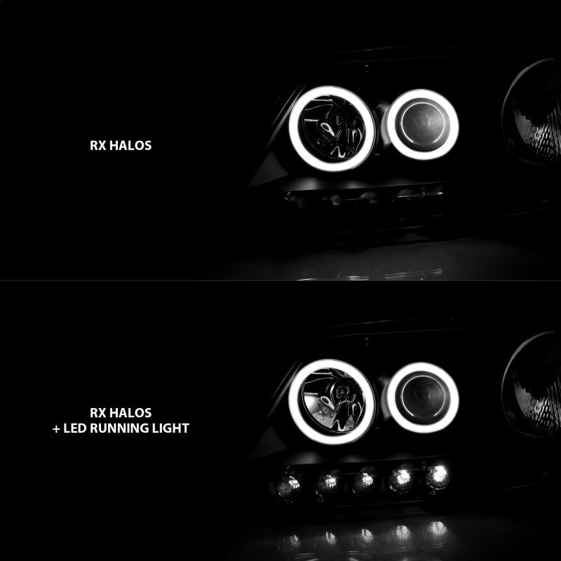 ANZO 111097 FITS: 1997-2003 Ford F-150 Projector Headlights w/ Halo Black (CCFL)