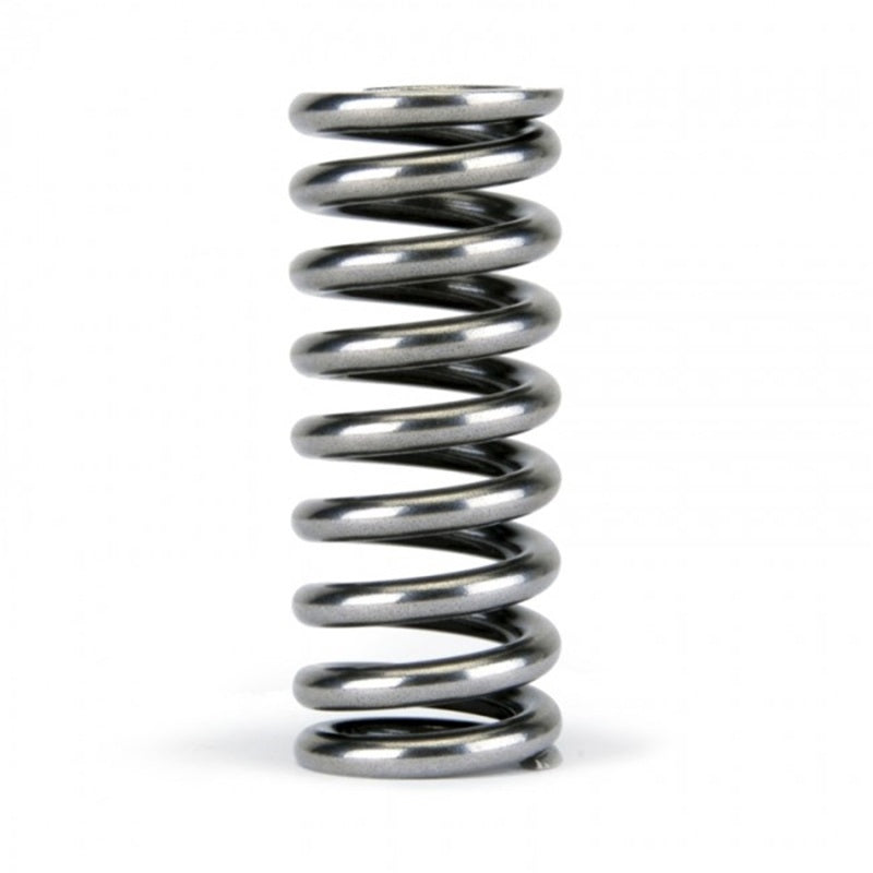 Skunk2 Racing 311-05-1345 -  -Skunk2 Alpha Series Honda D Series VTEC Valve Spring Set