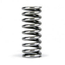 Load image into Gallery viewer, Skunk2 Racing 311-05-1345 -  -Skunk2 Alpha Series Honda D Series VTEC Valve Spring Set