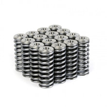 Load image into Gallery viewer, Skunk2 Racing 344-05-1350 -  -Skunk2 Alpha Series Honda/Acura D Series Valve Spring and Titanium Retainer Kit