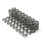 Brian Crower BC1040 - Honda/Acura K20A2/K20A/K24A2/F20C1/F22C1 Dual Valve Springs