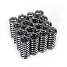 Load image into Gallery viewer, Skunk2 Racing 311-05-1345 -  -Skunk2 Alpha Series Honda D Series VTEC Valve Spring Set