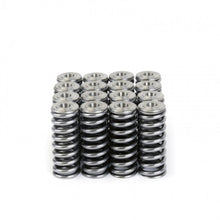 Load image into Gallery viewer, Skunk2 Racing 344-05-1350 -  -Skunk2 Alpha Series Honda/Acura D Series Valve Spring and Titanium Retainer Kit
