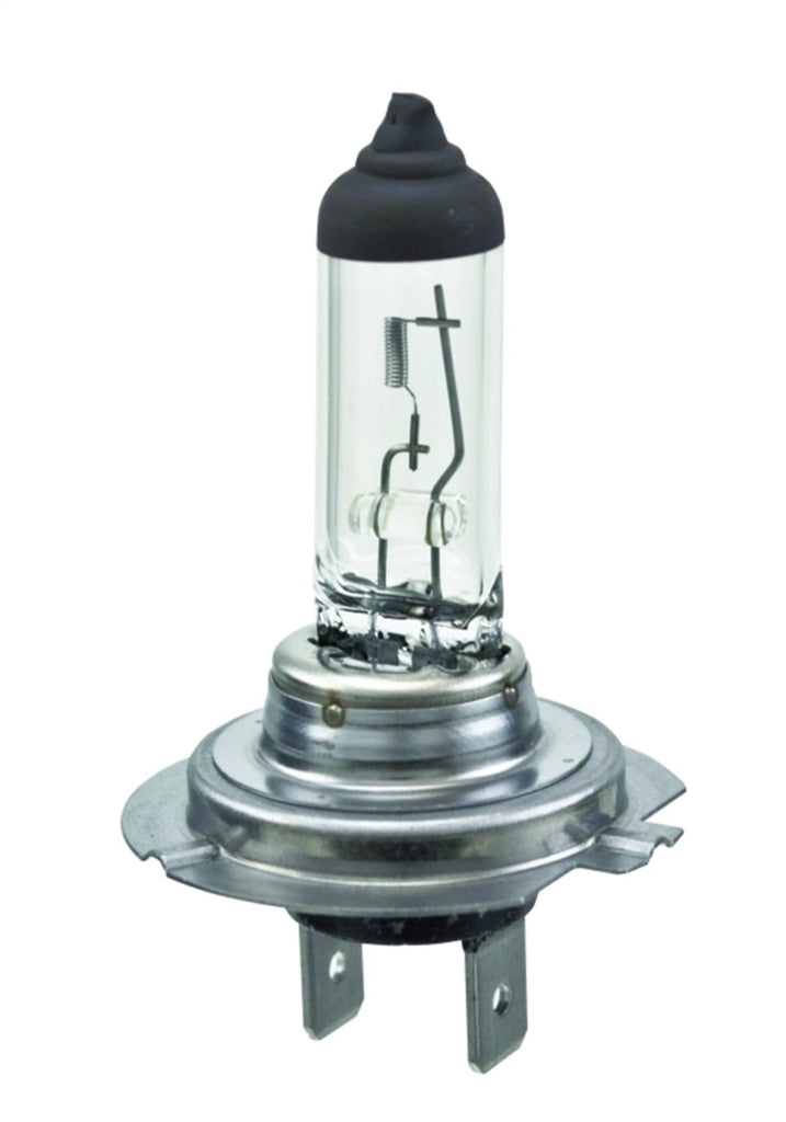 Hella H7 - Halogen  Bulb