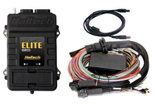 Load image into Gallery viewer, Haltech HT-151304 - Elite 2500 Premium Universal Wire-In Harness ECU Kit