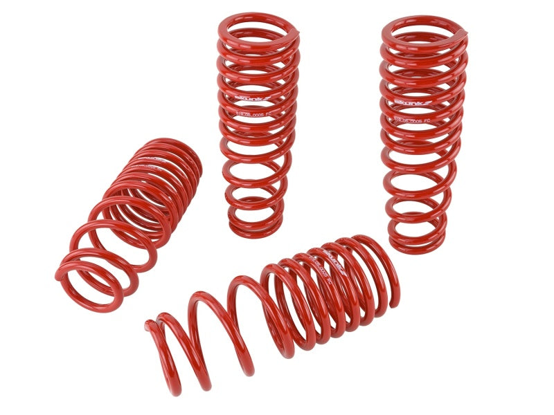 Skunk2 Racing 519-05-1480 -  -Skunk2 92-95 Honda Civic/Del Sol Lowering Springs (2.50in2.25in.) (Set of 4)