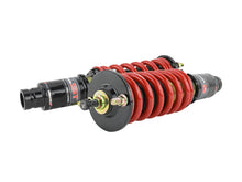 Load image into Gallery viewer, Skunk2 Racing 541-05-8725 -  -Skunk2 96-00 Honda Civic Pro-ST Coilovers (Front 10 kg/mmRear 10 kg/mm)